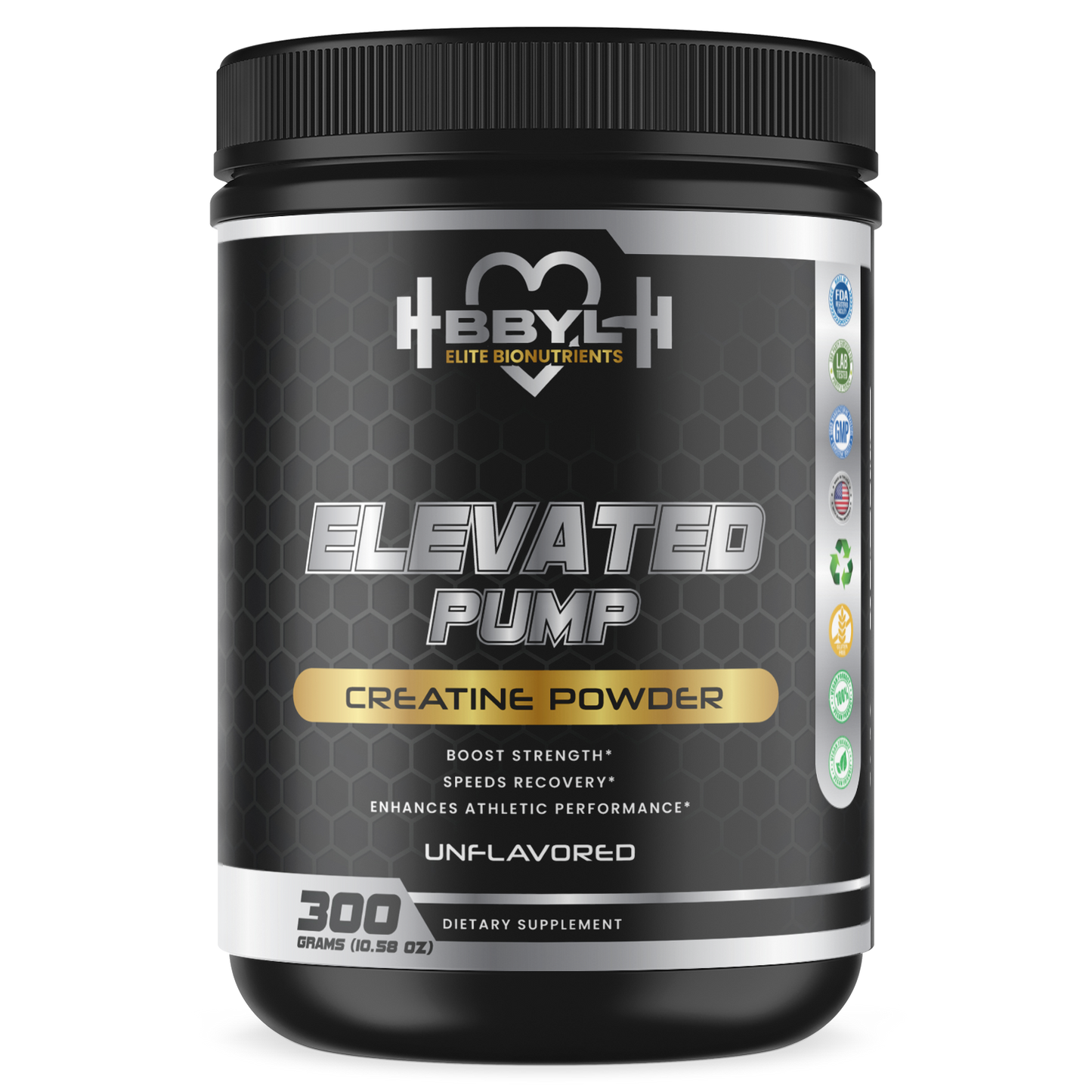 Elevated Pump