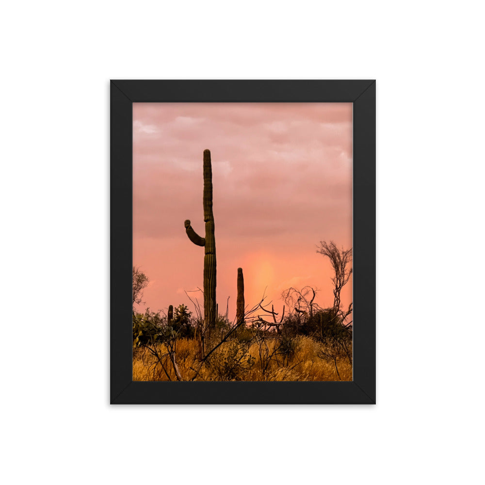 Tonto Forest Framed poster