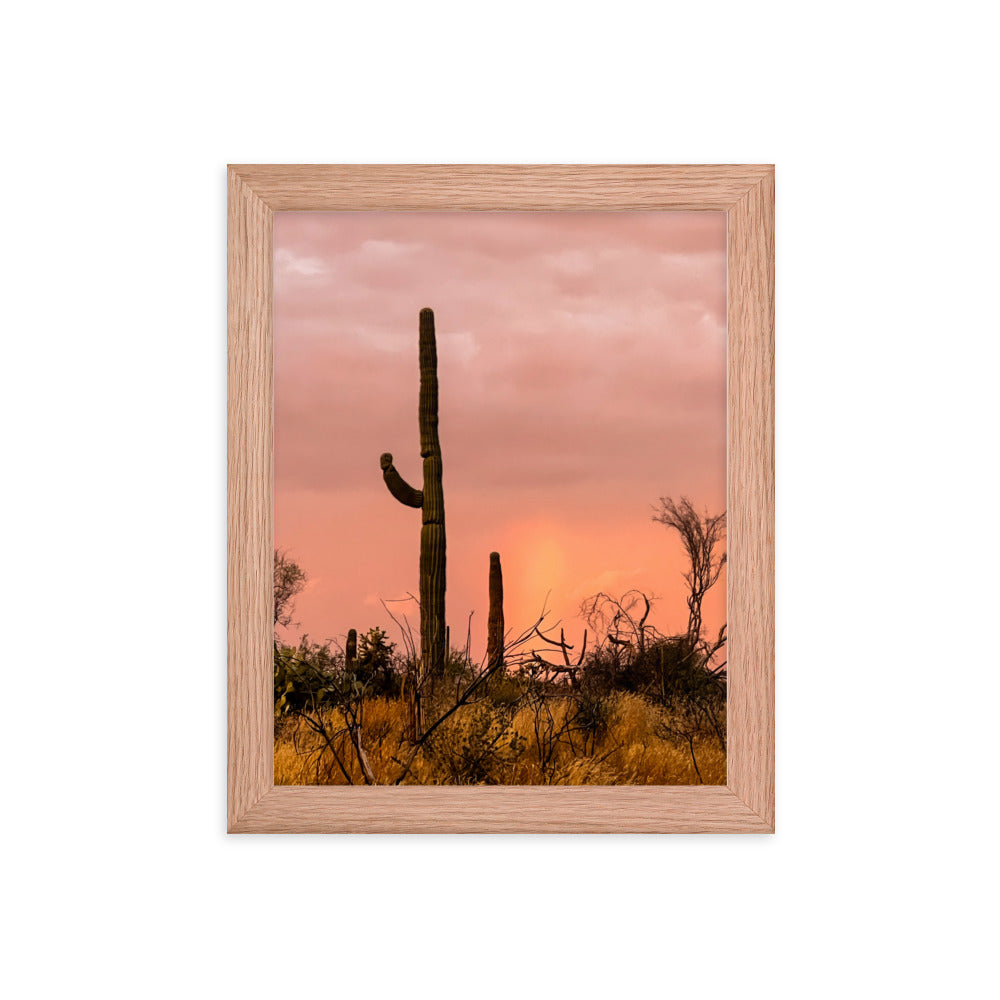 Tonto Forest Framed poster