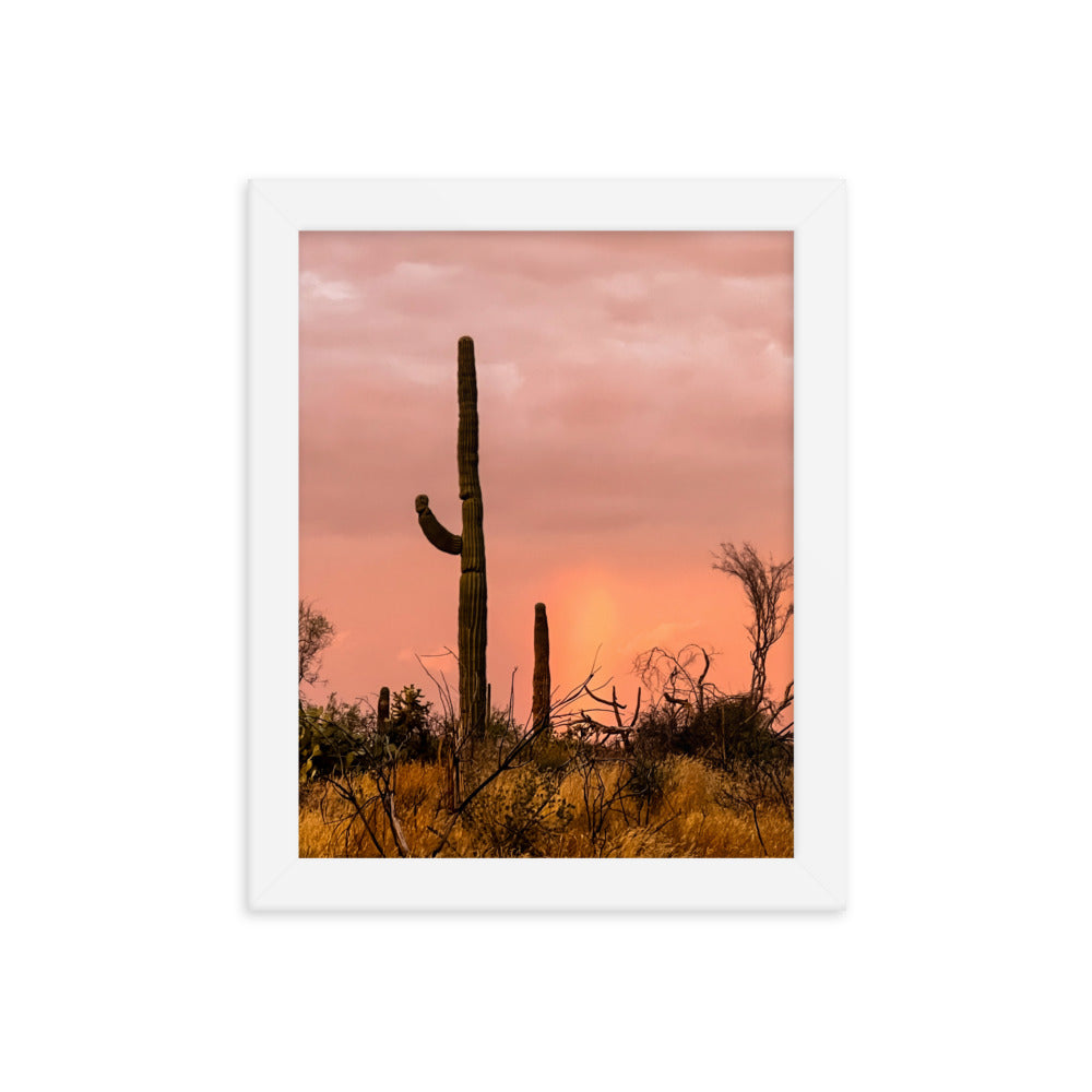 Tonto Forest Framed poster