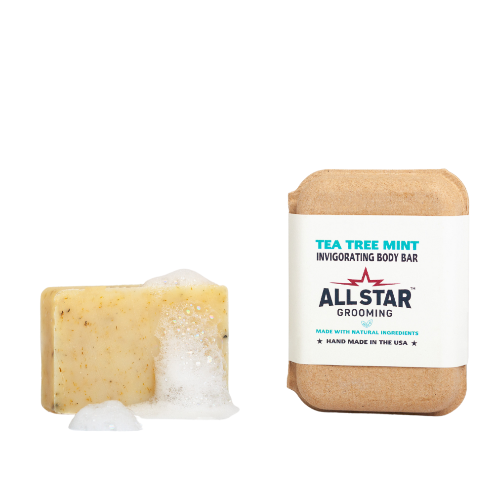 Tea Tree Mint Invigorating 4 oz Bar